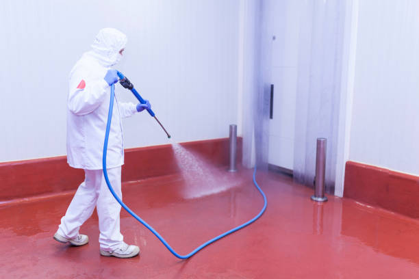 Best Building Exterior Washing  in Bon Air, VA